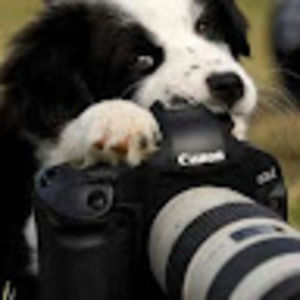 Meet your Posher, Wayne